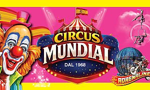 Circus Mundial, Χανιώτη